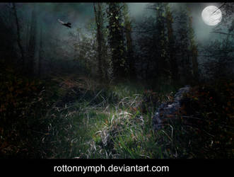Moonlit Evening Stock by RottonNymph