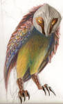 OH MY GOD ITS A RAINBOW OWL by BASbird