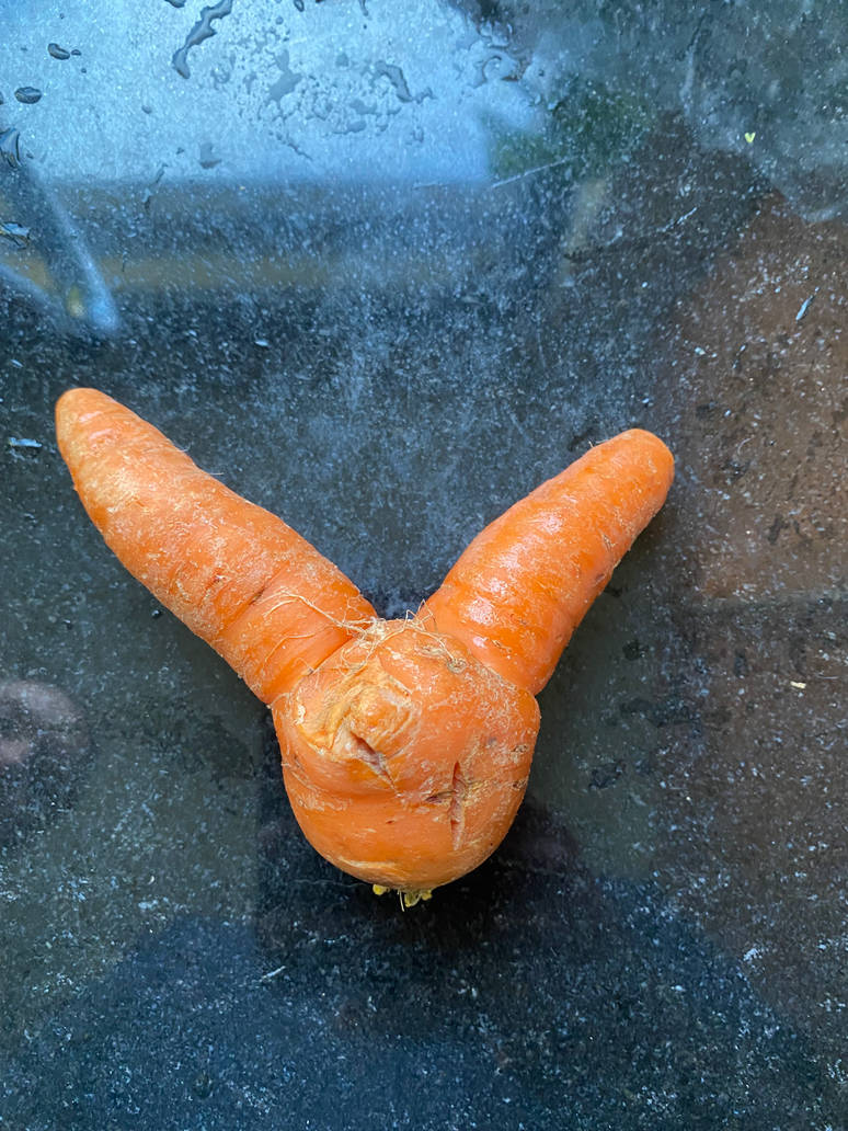A carrot that looks like a rabbit by sytrosianoverlord40k on DeviantArt