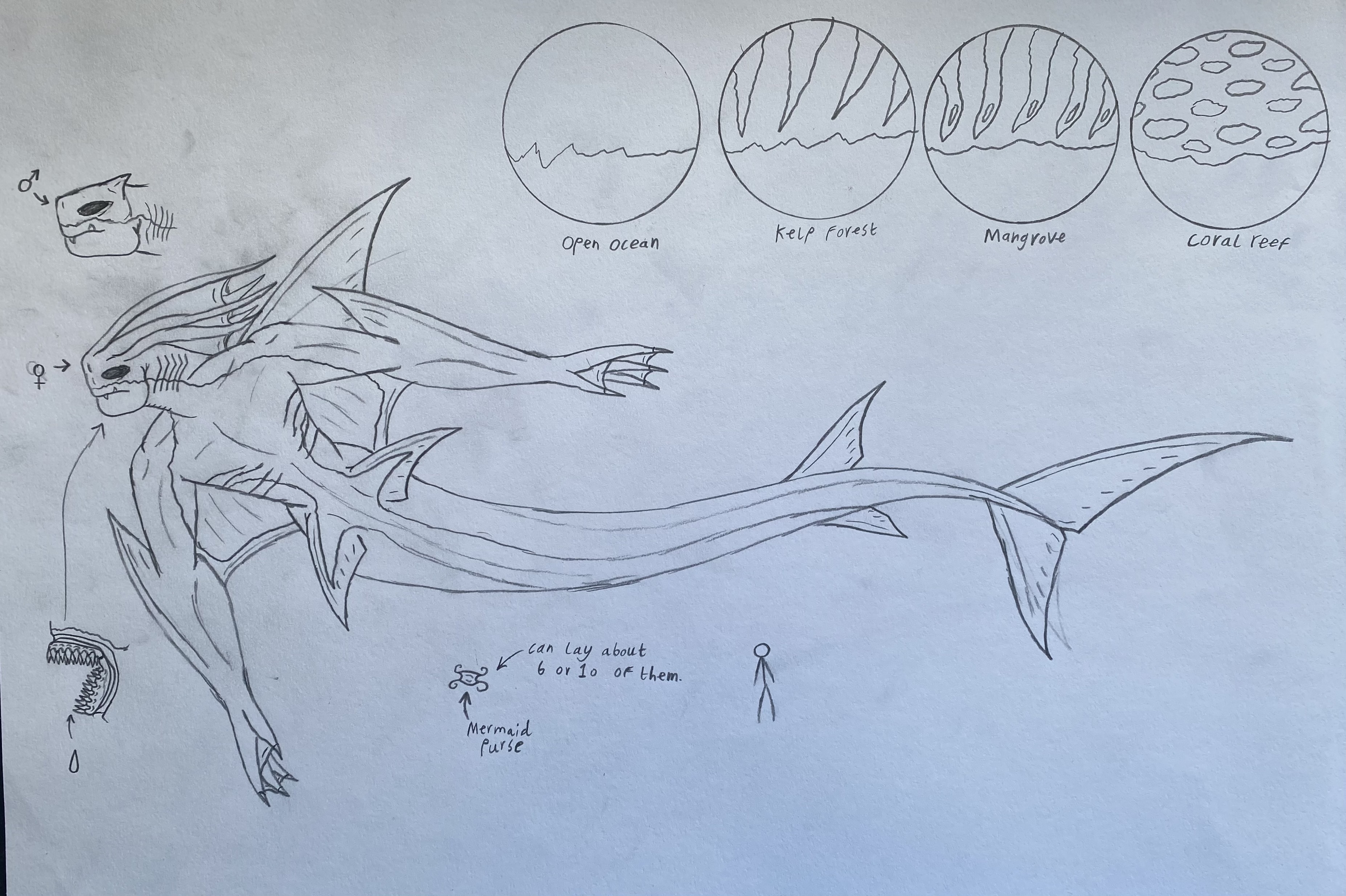 Merfolk Ranger Merfolk by sytrosianoverlord40k on DeviantArt