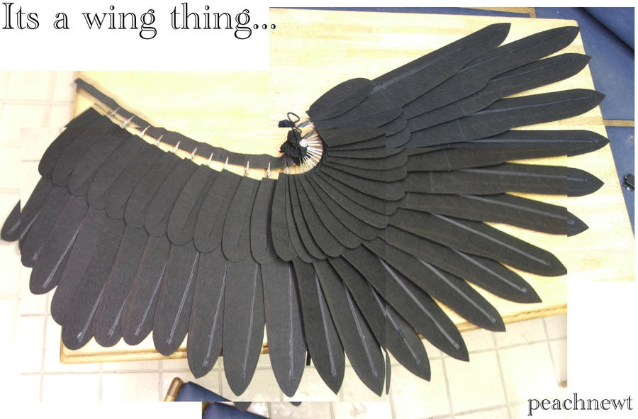 A wing thing...