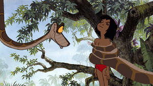 Mowgli and Kaa 5