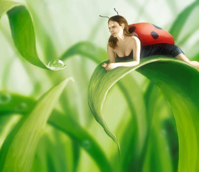 Ladybug by Mirix