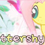 Fluttershy Banner