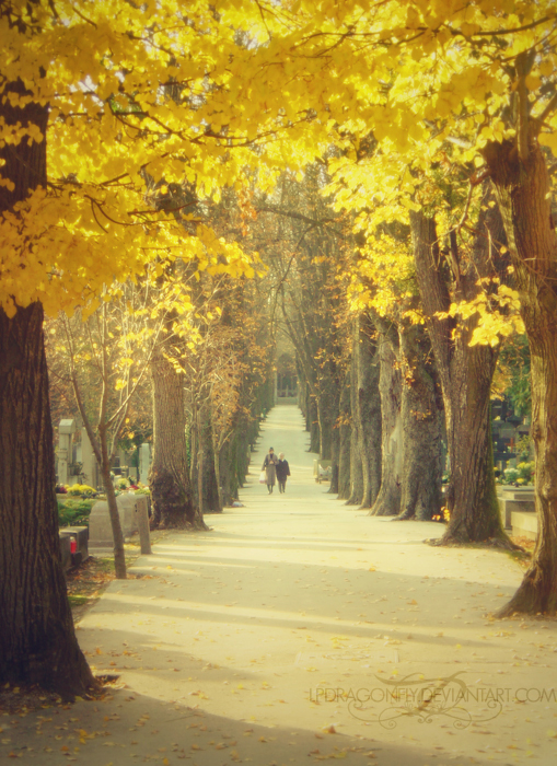 an autumn stroll