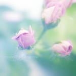 missing you by ivadesign