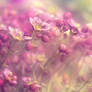 I just want to feel