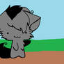 graystripe