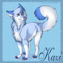 Gift art: Kazi