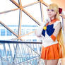 Sailor Venus - Sailor Moon IV