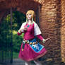 Zelda - Skyward Sword II