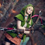Hyrule Warriors - Linkle