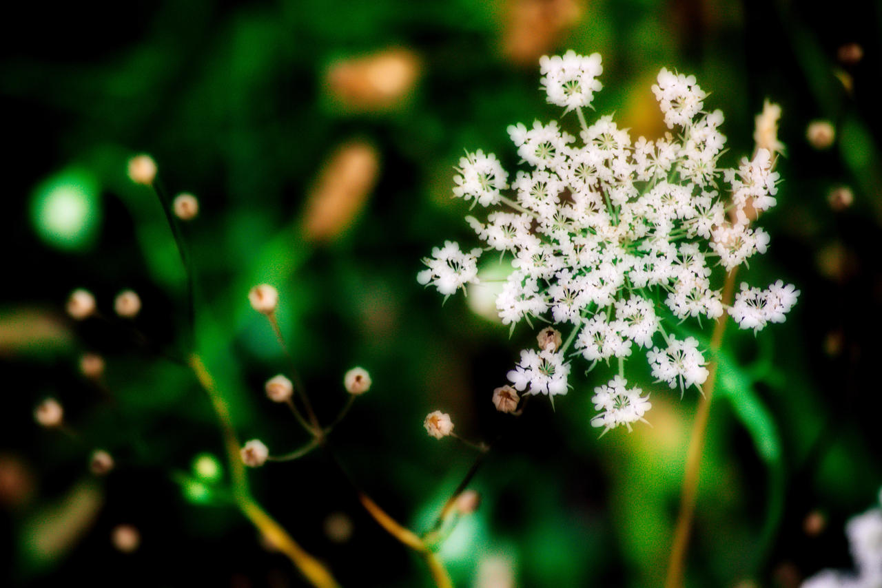 Descrizione di un attimo.