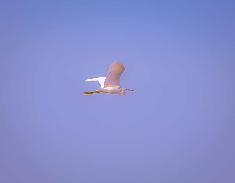 coming home at sunset...