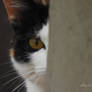 Strange behavior...