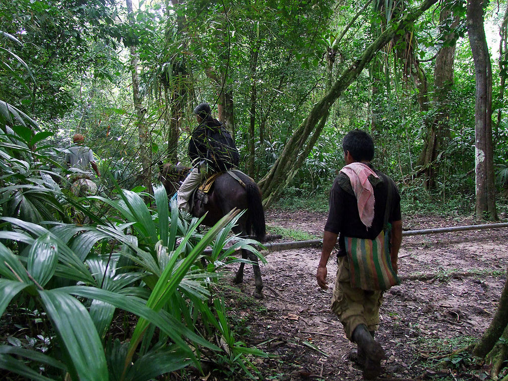 jungle paths by paguzman on DeviantArt