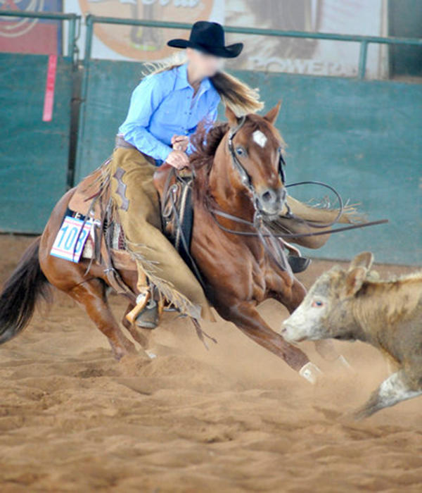 rodeo stock by VIP-EquineArt on DeviantArt