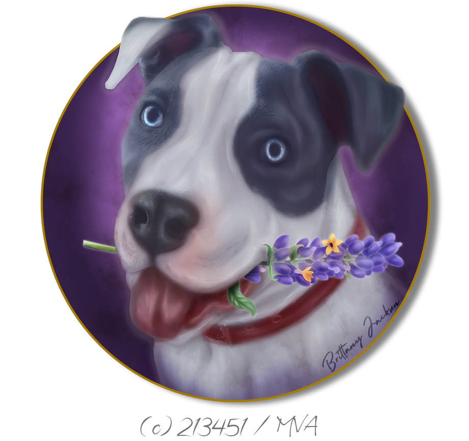 My Doggo by VIP-EquineArt on DeviantArt