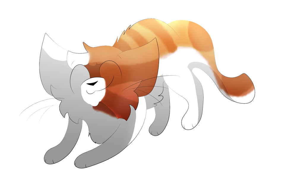 Animating Cat Request by Featherflight55 on DeviantArt