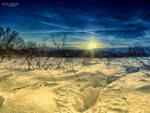 Winterscape by Piroshki-Photography