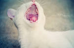 ---Laaaaa---- by Piroshki-Photography