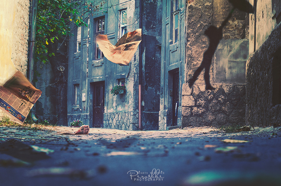 Magic Garden by Piroshki-Photography Magic Garden by Piroshki-Photography