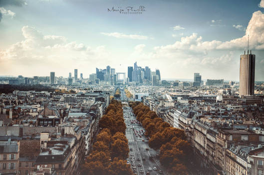 Modern Paris View
