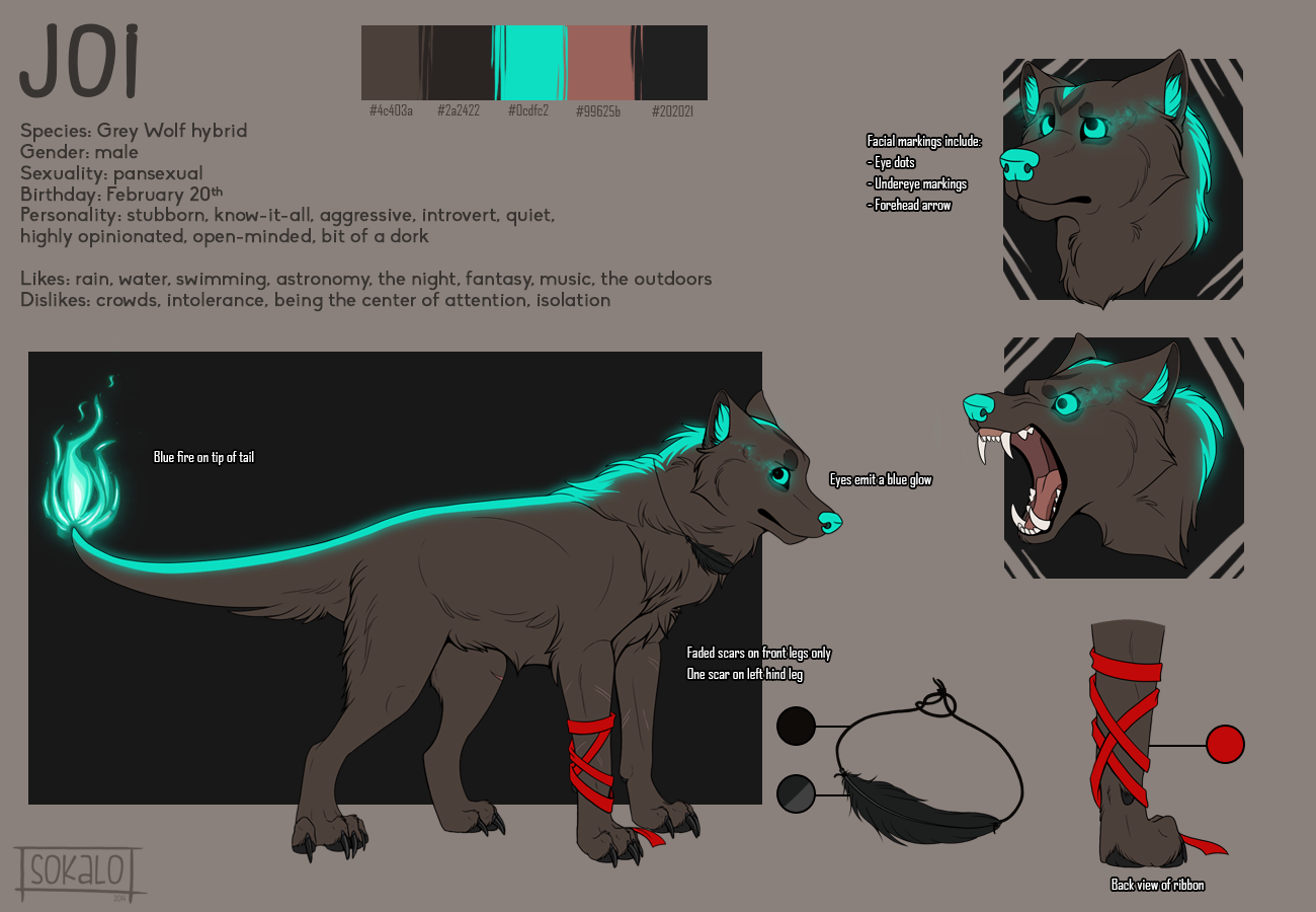 Joi Reference Sheet