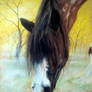 Autumn Mist