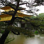 Kinkaku-ji 2