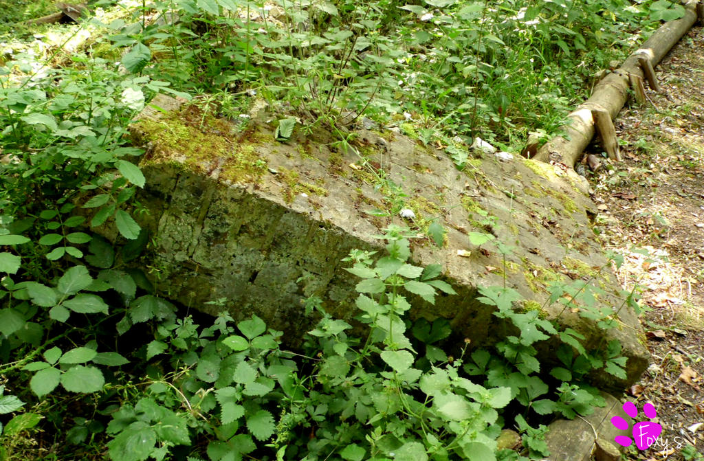 Ruins of Upper Shawstead Farm 004 (12.07.13)