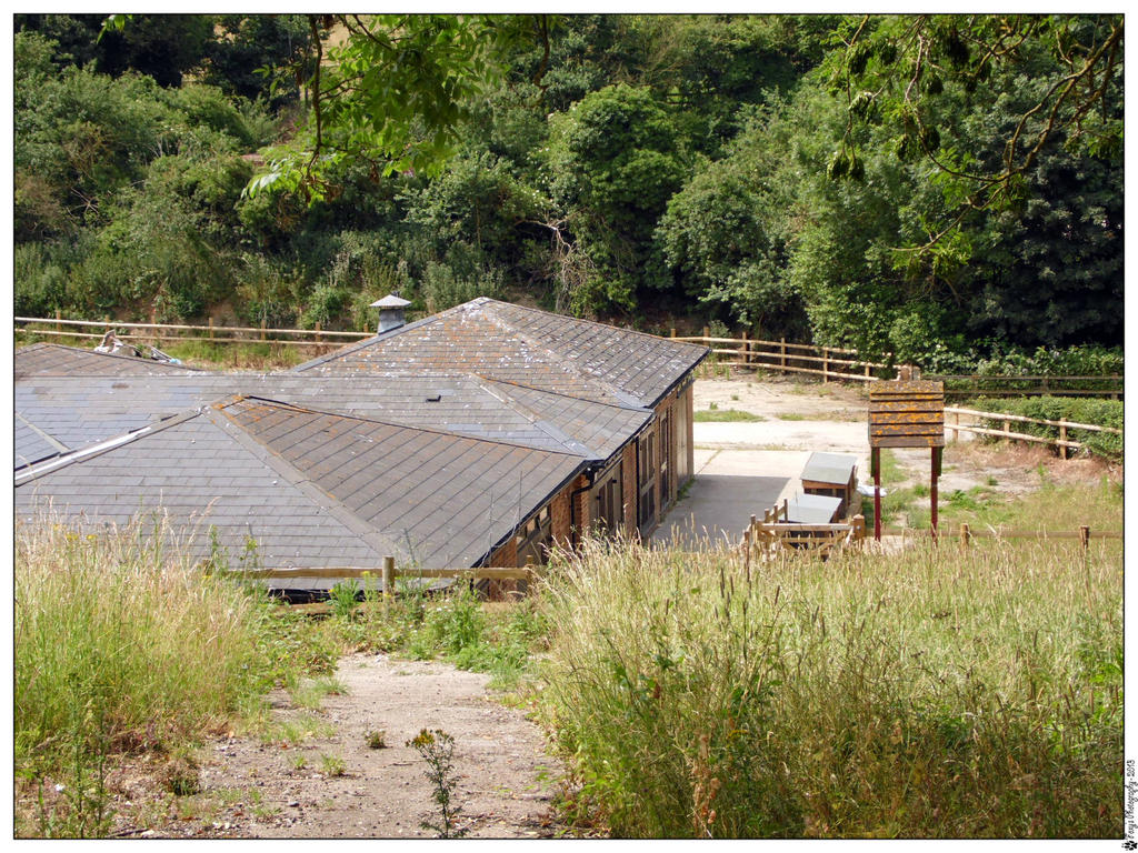 Capstone Farm Country Park: 003 (12.07.13)