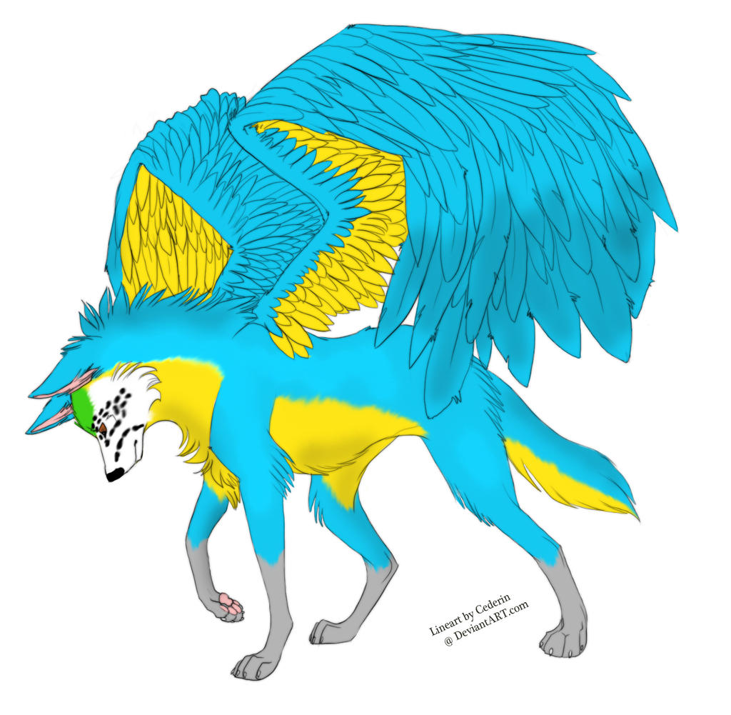 Blue and Gold Macaw Wolf - SOLD