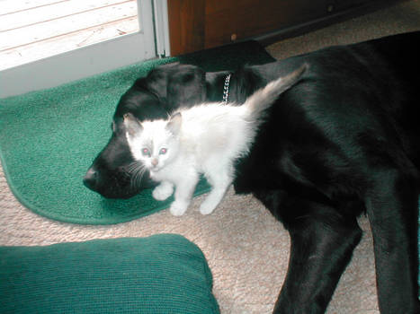 Baby Portia and Baxter