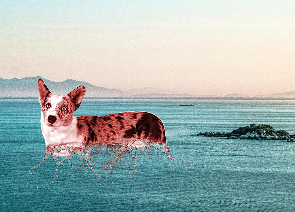 Dripped Dog Drip dog by savagepope on DeviantArt