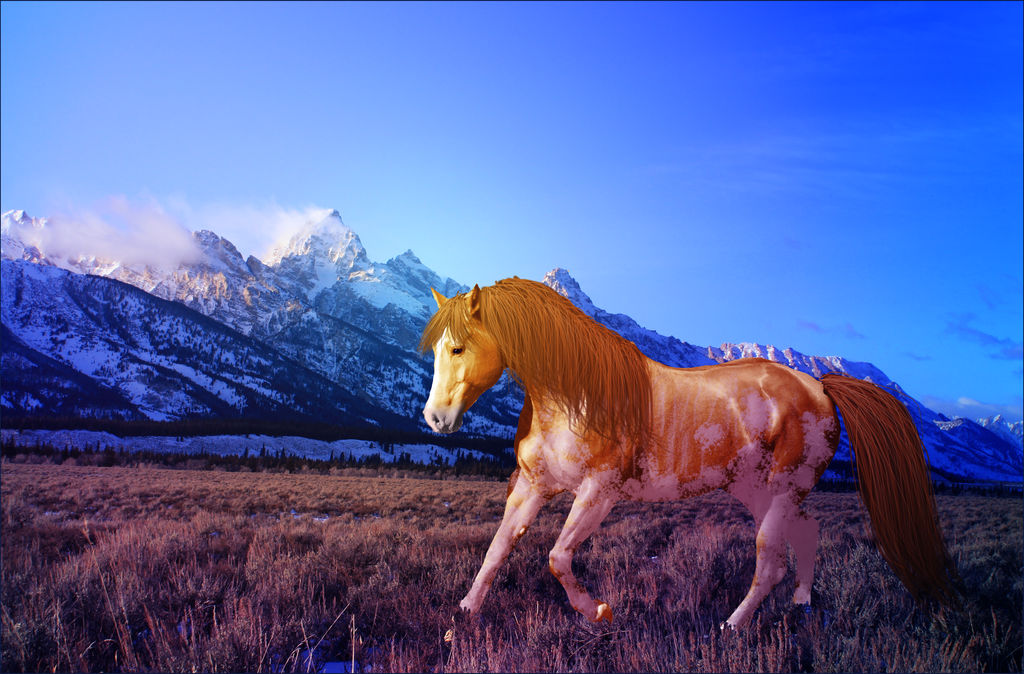 Caderina by TechnicolorNinja on DeviantArt