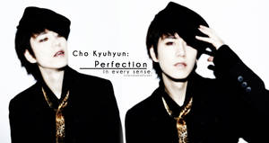 Perfection: Cho Kyuhyun_ver.3