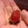 My First Strawberry!