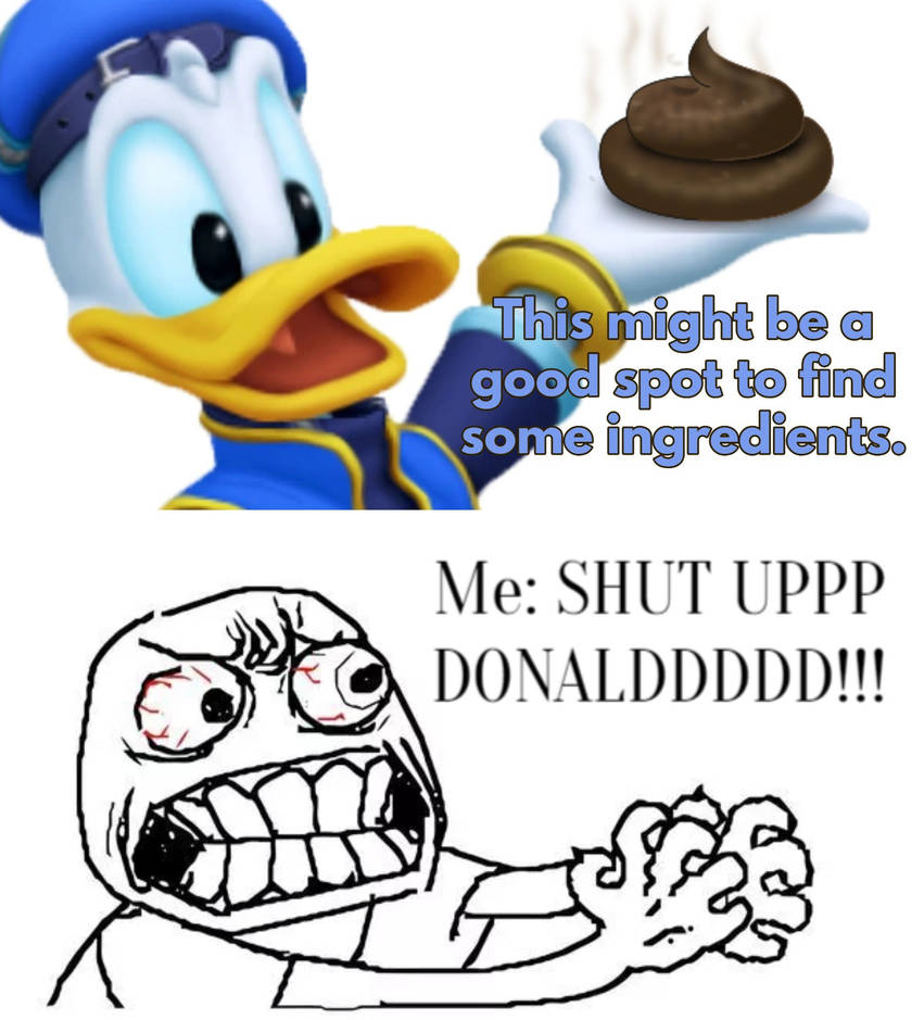 Donald Duck Meme (KH) by BurittaKittyNeko on DeviantArt