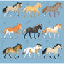 Gaited Breeds Adoptables