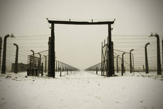 Auschwitz - Birkenau