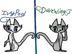 Ivypool and Dovewing