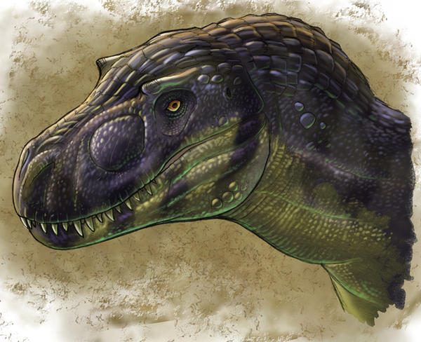 gorgosaurus by Onikaizer on DeviantArt