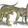 Lourinhanosaurus combating