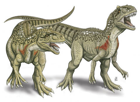 Lourinhanosaurus combating