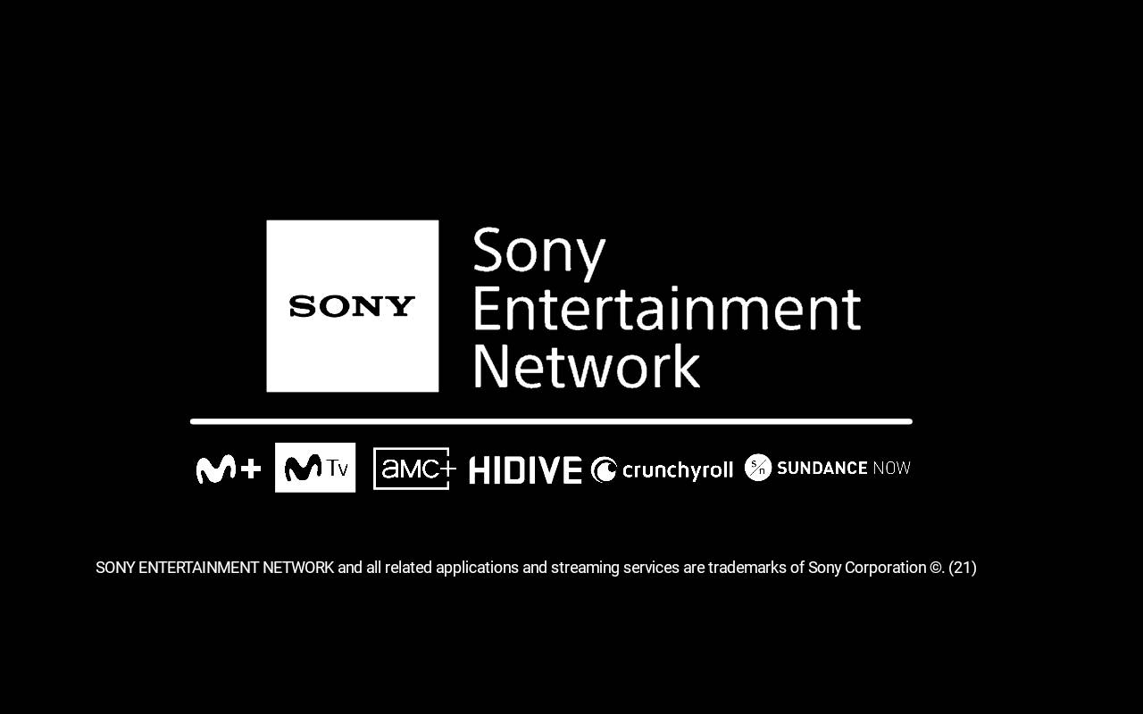 How do I access the Sony Entertainment Network service?