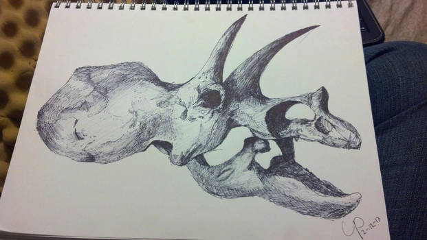 Triceratops