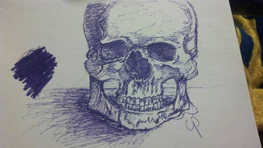 Skull.. :3