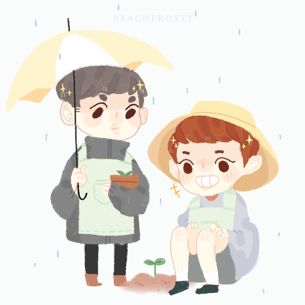 Chansoo plants