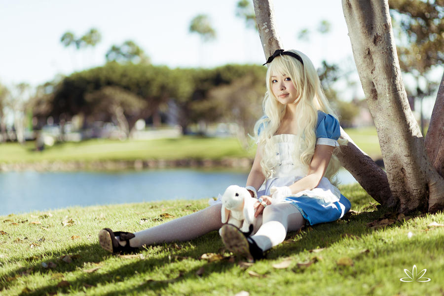 Alice Cosplay 3